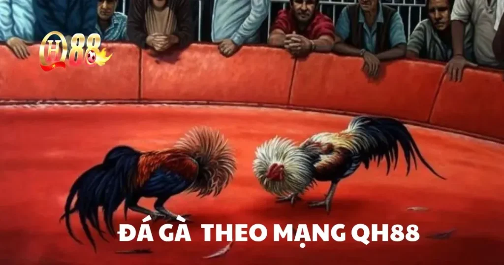 Cách Xem Màu Mạng Gà Đá Theo Ngày Từ Các Chuyên Gia QH88