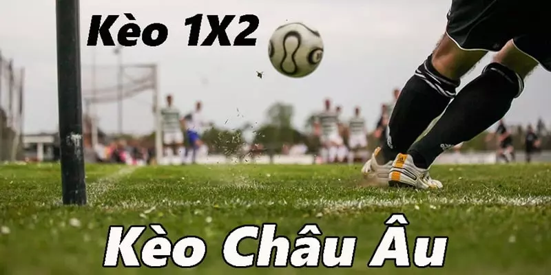 Với cách đọc đơn giản, tỷ lệ 1x2 hay được bet thủ chọn trong một vé xâu