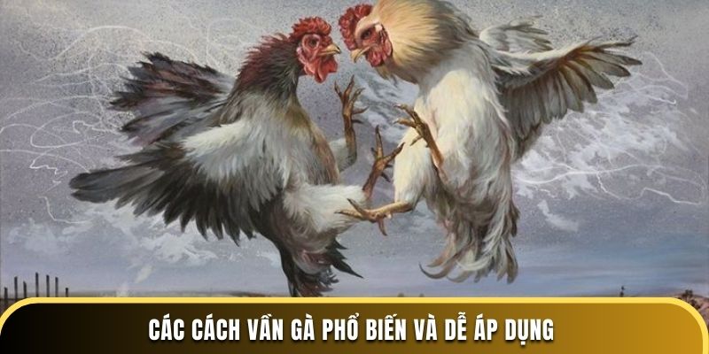 Các cách vần gà phổ biến và dễ áp dụng