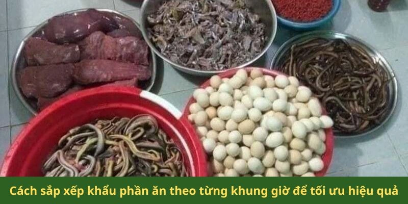 Cách sắp xếp khẩu phần ăn theo từng khung giờ để tối ưu hiệu quả