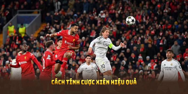 Cách tính cược xiên