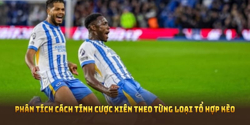 Phân tích cách tính cược xiên theo từng loại tổ hợp kèo